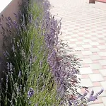 With Parking Space Privlaka, Zadar - 14465 Appartement